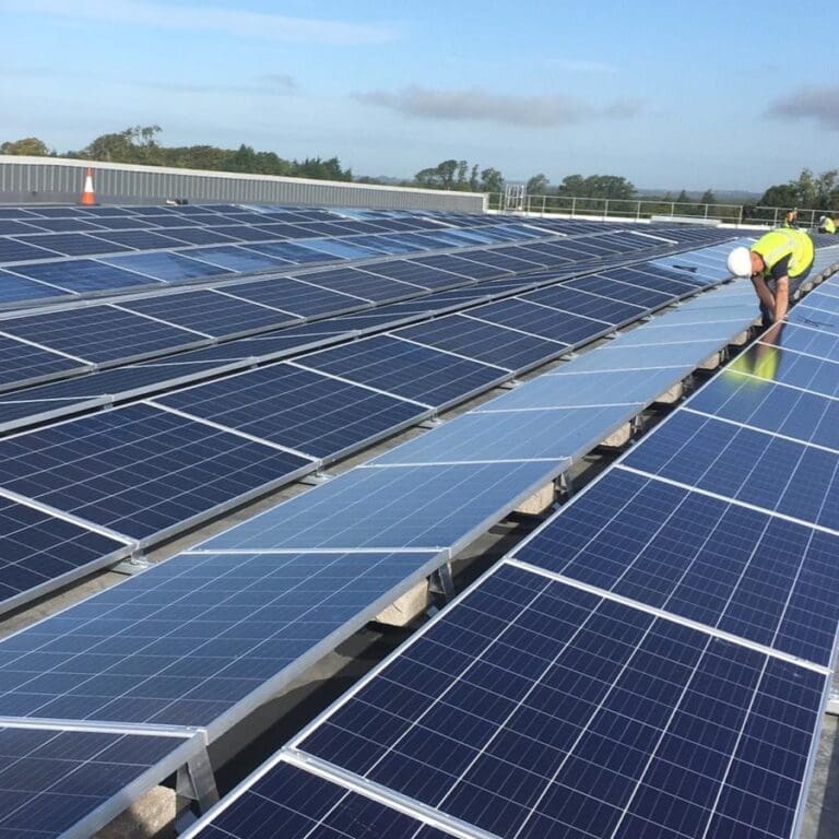 70711440_2420400971341788_2689260868645945344_o